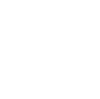 Vansh Ayurvedic logo